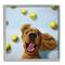 Stupell Industries Happy Smiling Pet Dog with Yellow Tennis Balls in Gray Frame Wall Art